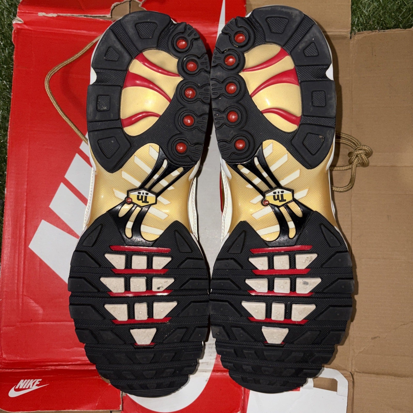 Size 13   Nike Air Max Plus QS Metallic Gold4