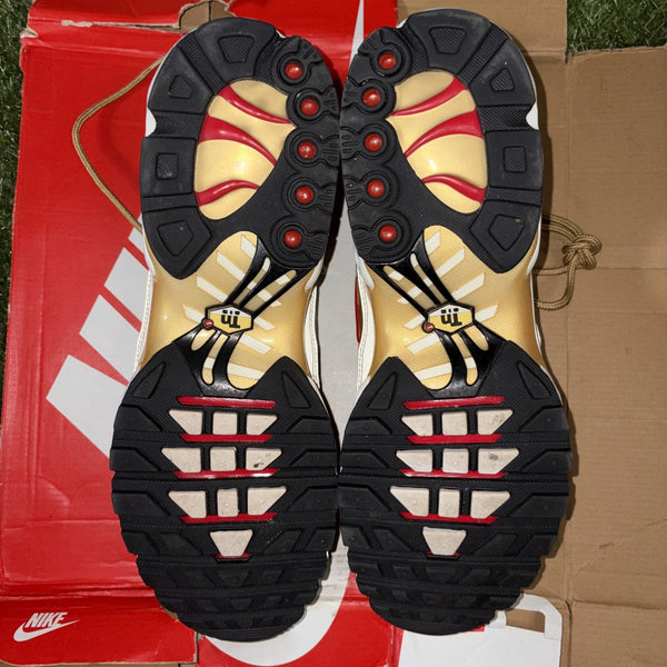 Size 13   Nike Air Max Plus QS Metallic Gold4
