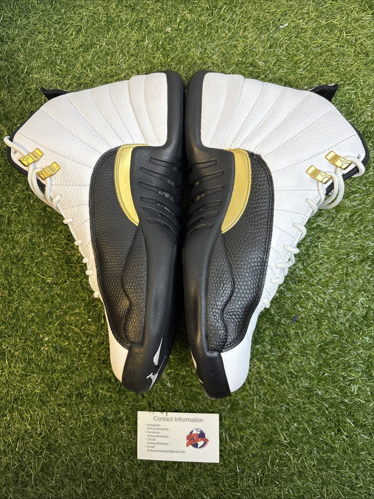 Size 10 - Jordan 12 Royalty1