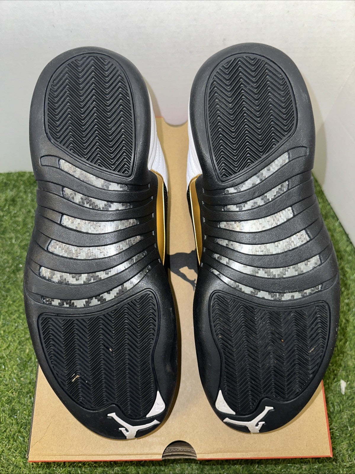 Size 13 - Jordan 12 Royalty4