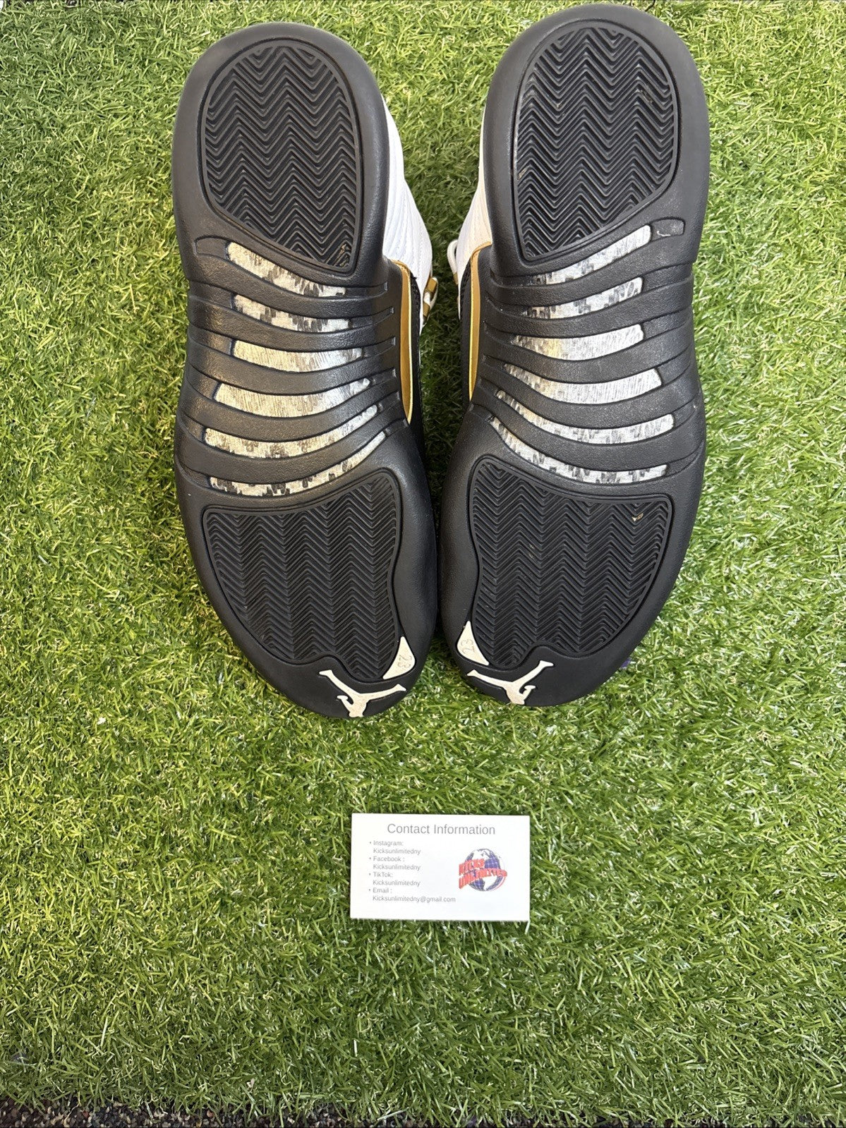 Size 10 - Jordan 12 Royalty4