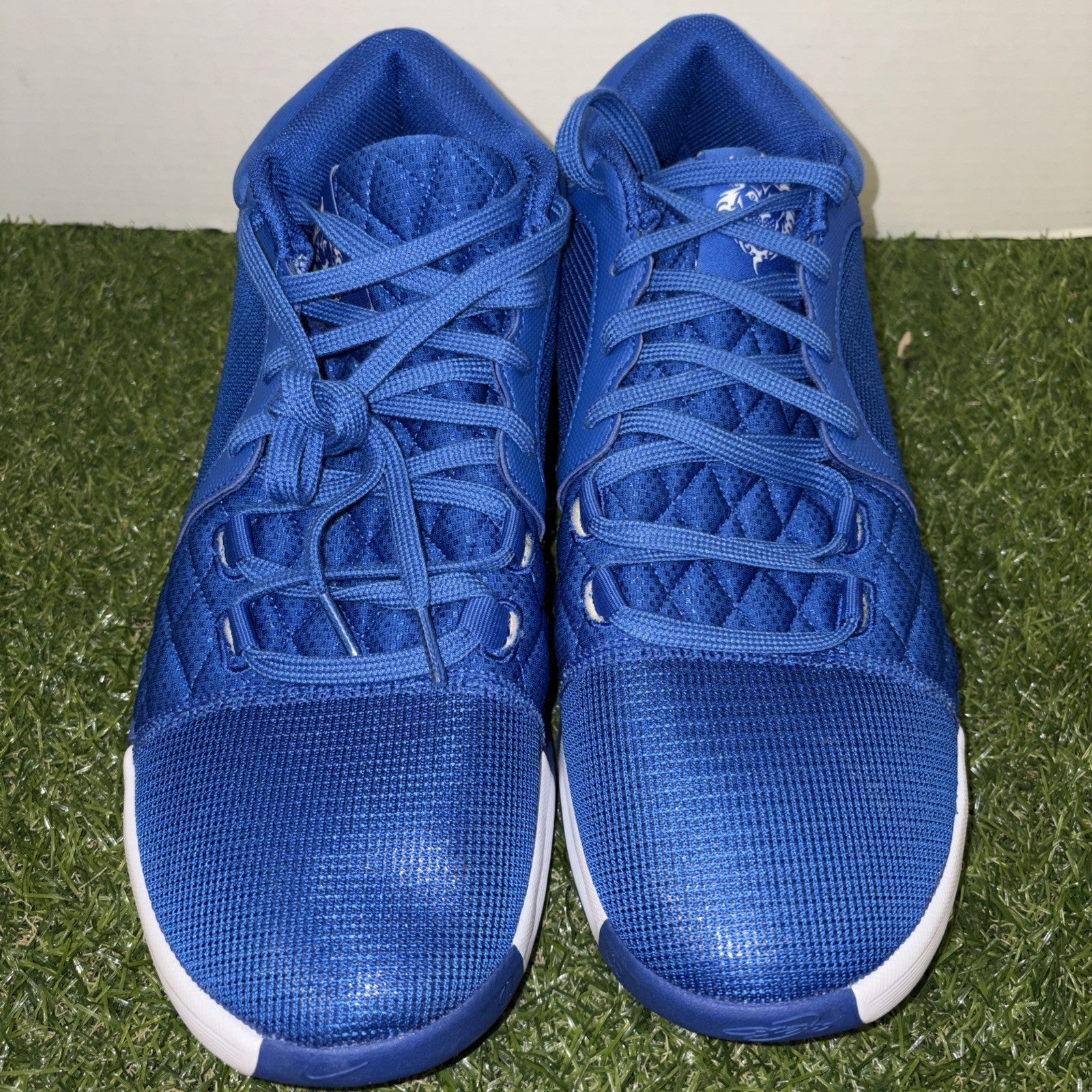 Size 13   Nike LeBron Witness 8 TB Game Royal1
