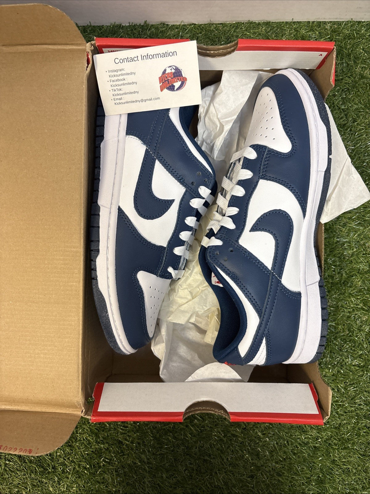 Nike Dunk Low Valerian Blue   Men’s Size 80