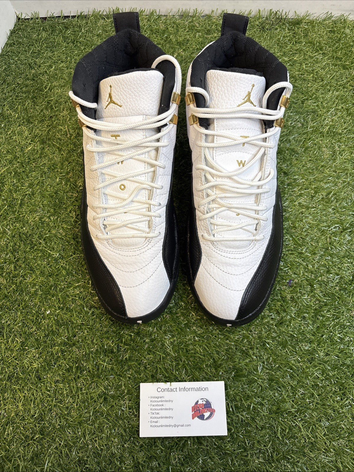 Size 10 - Jordan 12 Royalty2