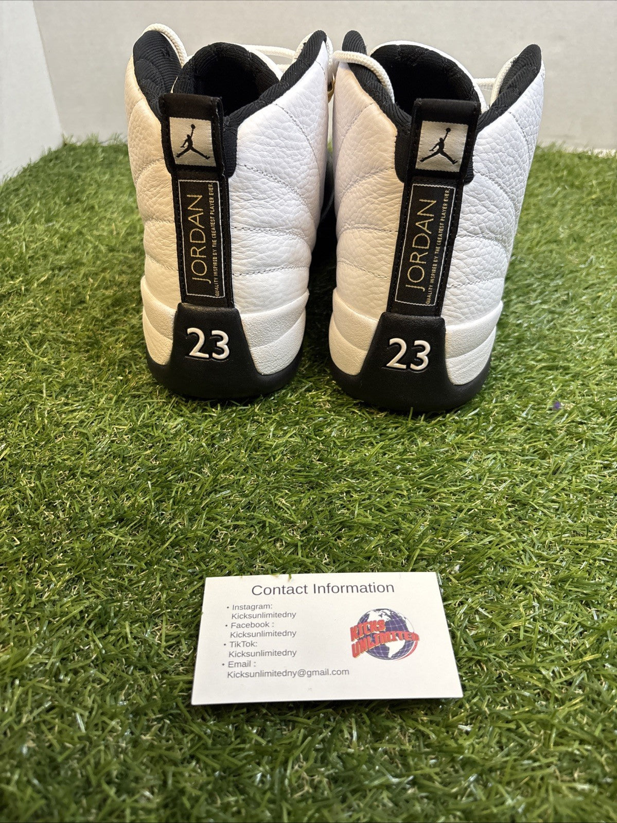 Size 10 - Jordan 12 Royalty3