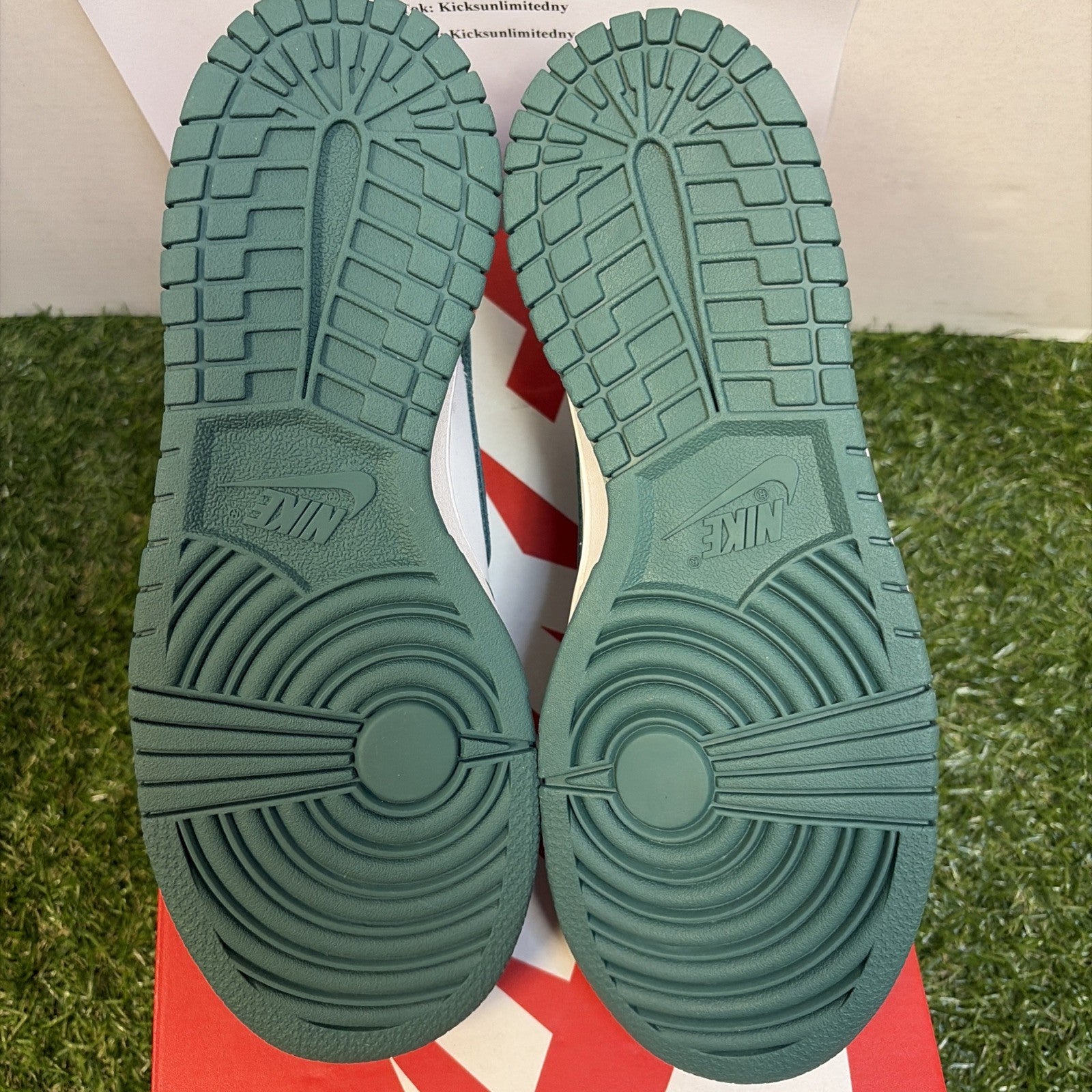 Nike Dunk Low Bg White-Bicoastal Blanc HF4798-100 Size 5.5Y4