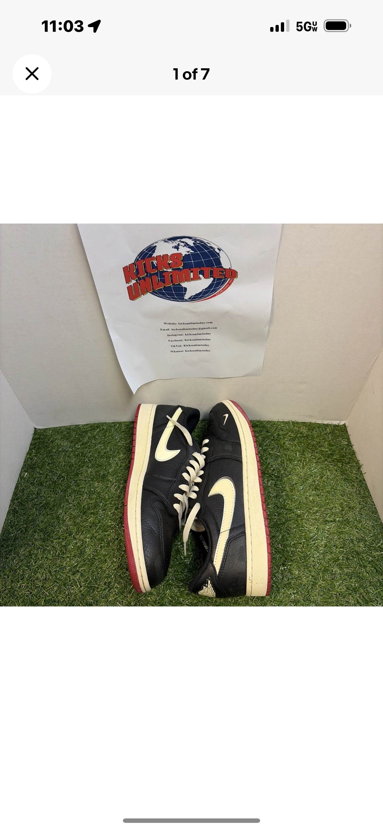 Jordan 1 low Nigel Sylvester